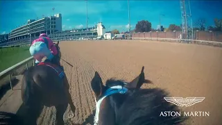 Aston Martin Jockey CAM: Breeders' Cup Dirt Mile won by City of Light