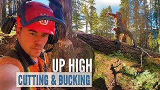 Up High | Cutting & Bucking