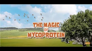 Magic of Mycoprotein | Learn More About Quorn Mycoprotein | Quorn