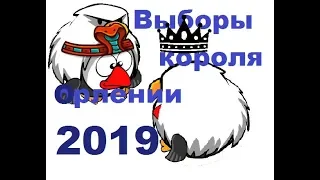 Выборы короля Орлении 2019. Орления Шарарам