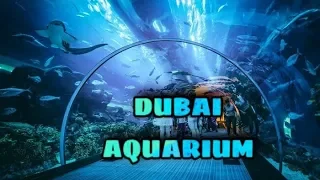 DUBAI MALL AQUARIUM UNDERWATER TUNNEL PART 1 SHARKS STING RAY 2018