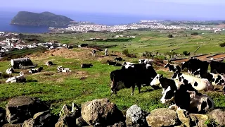 Ilha Terceira - Açores - A Natureza Ao Seu Alcance