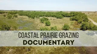 Grazing the Coastal Prairie and Marsh Land Documentary