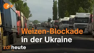 Die Weizen-Blockade: Warum kein Weg aus der Ukraine führt I auslandsjournal