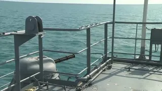 Live Fire in the Sea: K-630| AK-306|RBU 6000|AK-176, 533mm torpedoes|Military VisioN|