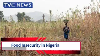 How Nigeria Can Tackle Acute Hunger & Food Insecurity May Worsen in Few Months