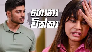 ගොනා වික්කා | Sikuru Awith