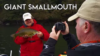 Giant Smallmouth Bass of Early Spring