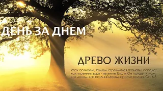 ДЕРЕВО ЖИЗНИ  - Вячеслав Бойнецкий