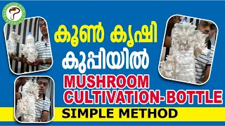 Mushroom cultivation in plastic bottles കൂൺ കൃഷി malayalam