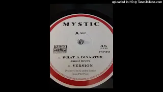 JUNIOR BROWN - What a disaster - Dub 1980