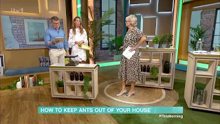 How To Keep Ants Out Of Your House - 01/05/2024