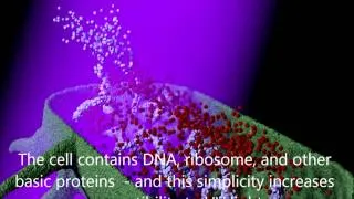 UV Light's Effect on Bacteria