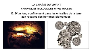 12. D’un long confinement dans les entrailles de la terre aux rouages des horloges biologiques