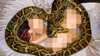 She Slept With Her Python Every Night Until Her Vet Uncovered the Deadly Truth