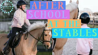 After School At The Stables  |  Harlow & Popcorn The Pony