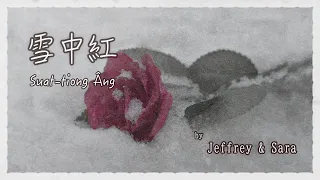 雪中紅 Red in the Snow | 王識賢 & 陳亮吟 | covered by 莎拉 (歌詞+台羅拼音)
