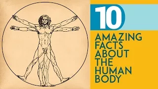 10 Amazing Facts about the Human Body