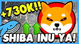 🚨 SI ERES HOLDER DE SHIBA INU TIENES QUE SABER ESTO! 😍  Criptomonedas SHIBA INU Binance [+730K!] ✅