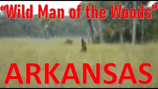 The Wild Man of the Woods runs off live stock in Arkansas