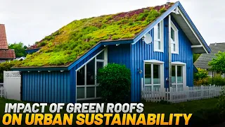 Transforming Cities: The Shocking Impact of Green Roofs | Why Every Building Needs a Green Roof NOW!