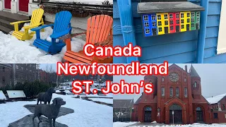 Day 1 St.John's Town Center walkthrough : Newfoundland Labrador Canada |نیوفانلند کانادا شهر سنت جان