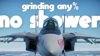 My F14 Grinding Experience (War Thunder)