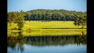 Rolling K Ranch | Smith County, Texas Ranch for Sale