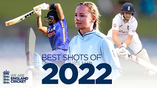 Wyatt's Rocket 🚀 Bairstow's Natmeg 🙃 SKY Holds The Pose 😎 | Unbelievable Cricket Shots From 2022