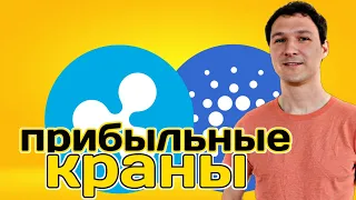 Кран Cardano и кран Ripple. Прибыль каждый час.