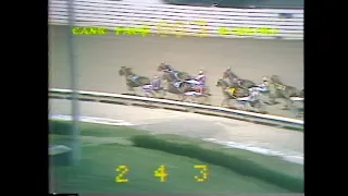 1981 Yonkers Raceway - Wildwood Jeb & Jim Marohn - Cane Pace