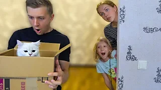 Что За КОТЯТА в КОРОБКЕ у ПАПЫ? Милана и МАМА не ЗНАЮТ об ЭТОМ! Скетчи от Family Box