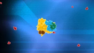 Ubiquitin System Animation - Nobel Prize in Chemistry 2004 Technion