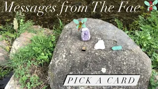 (Pick a Card) Messages From the Fairies “Timeless”