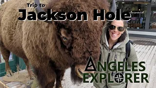 Trip to Jackson Hole & Grand Teton NP in Spring