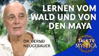 Dr. Bernd Neugebauer - Über gesunde Wälder und das harmonische Miteinander der Maya | MYSTICA.TV