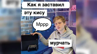 Как я заставил свою киску мурчать. Нужно ли чистить PS4 от пыли?