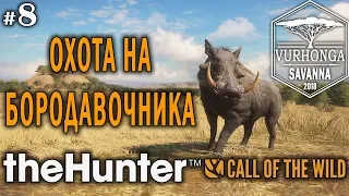 theHunter Call of the Wild #8 🔫 - Охота на Бородавочника - Винтовка - Спрингбок