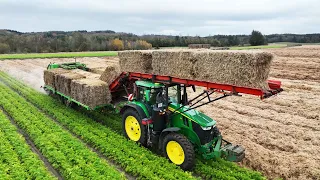 Preparing Carrots for the Cold Winter Weather | John Deere 7R 330 + Loaders + Straw Layers