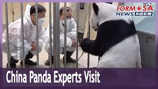 Chinese panda experts visit ailing Tuan Tuan at Taipei Zoo