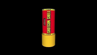 Shotgun Shell