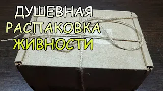 ДУШЕВНАЯ РАСПАКОВКА ЖИВНОСТИ