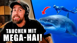 SKANDAL: INFLUENCERIN streichelt MONSTER-HAI! - Macht DAS niemals... | Robert Marc Lehmann