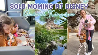Morning at Animal Kingdom + Travel Home