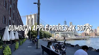 Dumbo in Apple ProRes 40K 30FPS