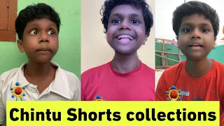 Chintu Shorts collection | Velu jazz | Fault Family