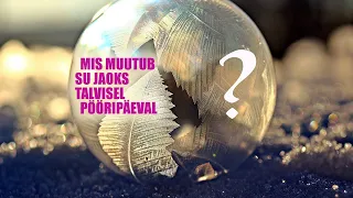 Mis muutus tahab su ellu tulla talvise pööripäeva paiku 22. detsembril?