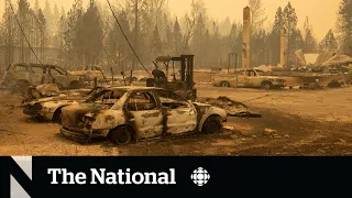 Massive wildfire destroys homes in B.C.'s Shuswap region