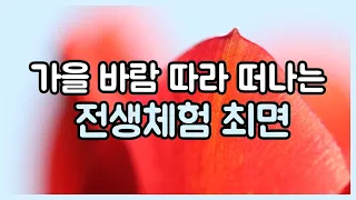 가을 바람 따라 떠나는 전생체험 최면