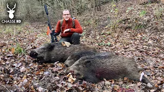 3 WILD BOARS AT THE SAME POST: AN EXCEPTIONAL HUNT!